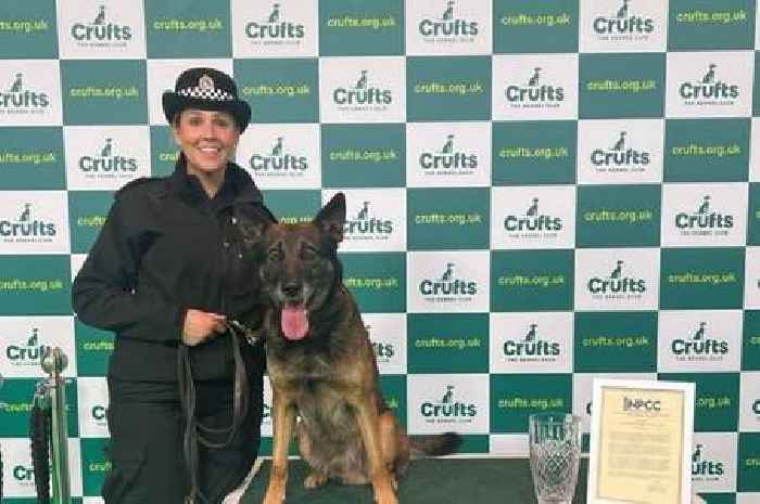 Cop who broke bone searching with police dog for missing woman is recognised at Crufts