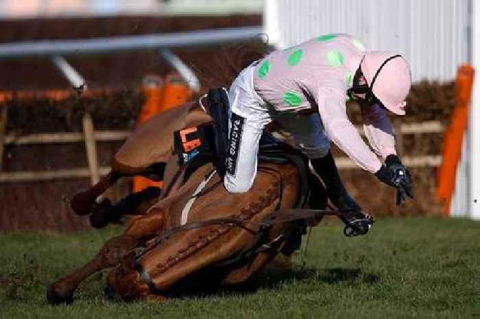 Cheltenham Festival favourite almost cost bookies £50m - and punters still aren't over it