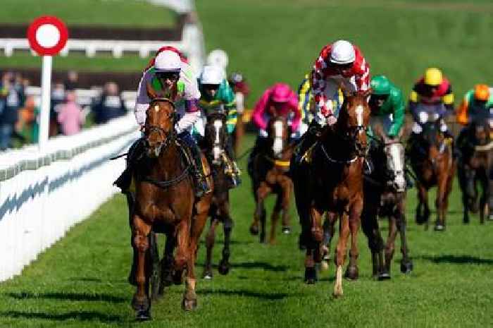 How to watch Cheltenham Festival 2023 day two on TV for free and live stream