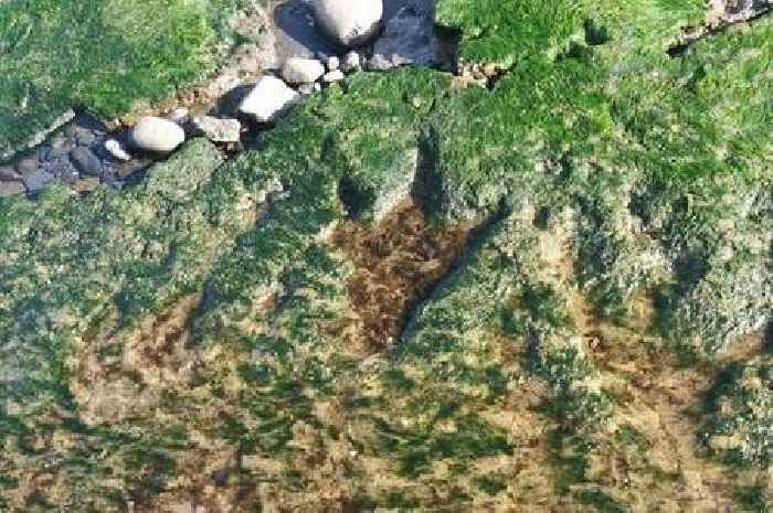 The incredible beach on Scottish island with hidden dinosaur footprints