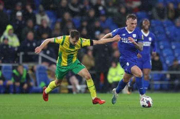 Mixed Cardiff City v West Brom player ratings as Kaba makes big impact but others endure tough night