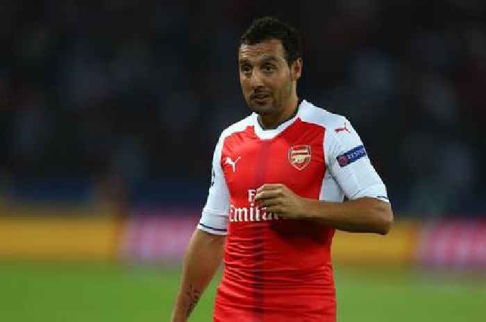 Mikel Arteta may have finally found Arsenal's Santi Cazorla replacement