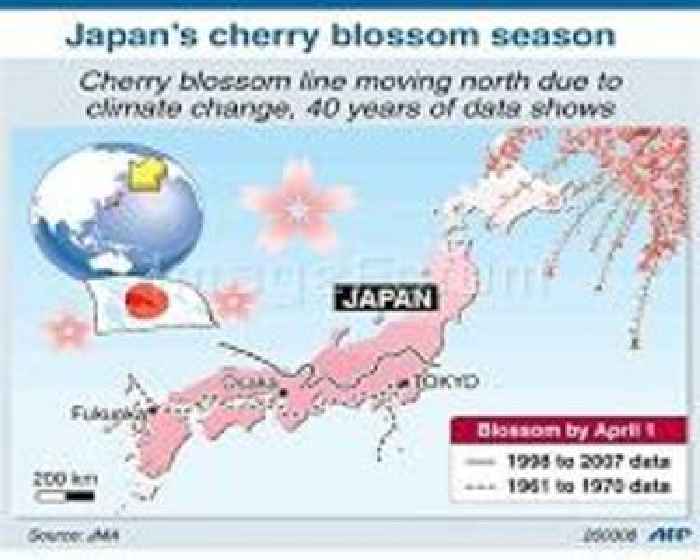 Record early start again for Tokyo's cherry blossoms