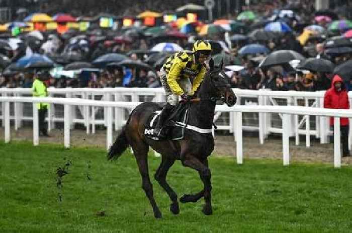 Cheltenham Ryanair Chase 2023 guide: Runners, odds and race time