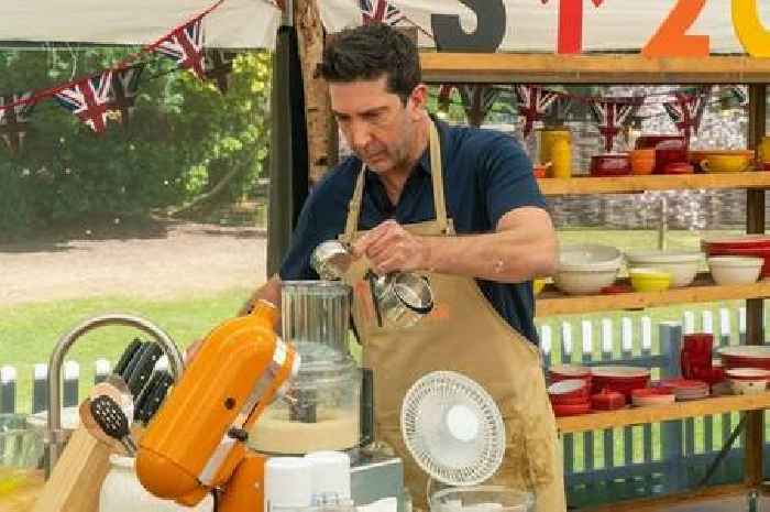 Great British Bake Off star Prue Leith says David Schwimmer 'didn’t want to talk'