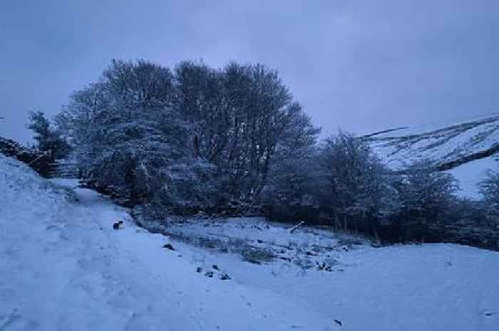 Our Yorkshire Farm's Amanda Owen 'snowed in' as fans point out same detail