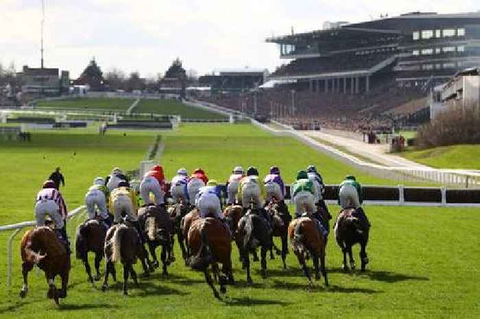 Cheltenham Festival 2023: Day three tips as Stayers' Hurdle and Ryanair Chase feature