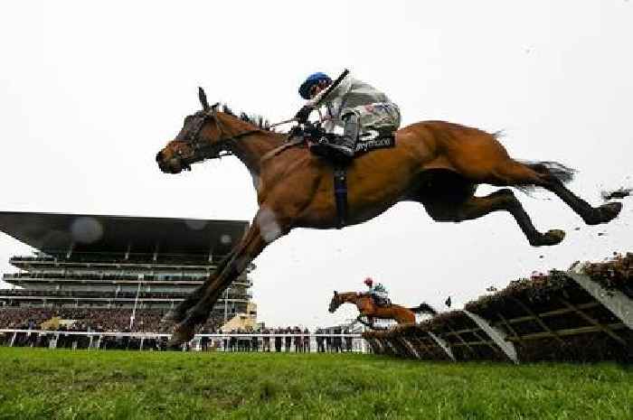 Cheltenham horse racing results LIVE including Day 3 tips and best bets on the Stayers' Hurdle