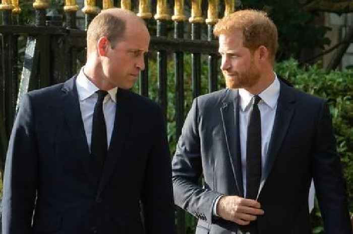 Prince William gave 'barrier gesture' towards Harry that proved rift, says expert