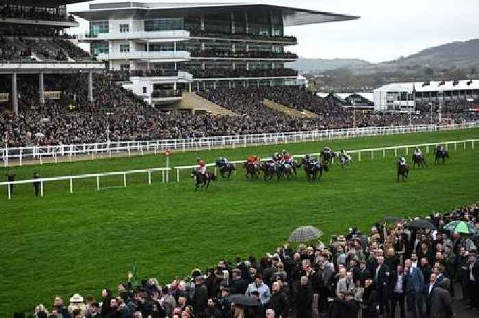 Cheltenham Festival: Traffic delays as racegoers rush to Gold Cup Day
