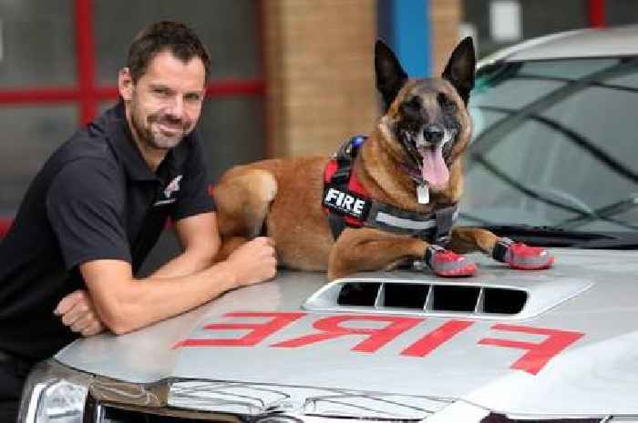 Owner of West Midlands fire investigation dog Kai who died after brain tumour diagnosis 'blown away' by support