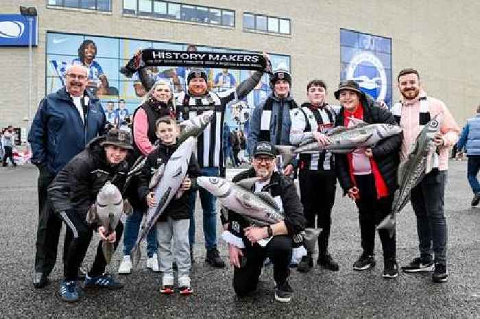 More than 100 faces of Grimsby Town fans at Brighton FA Cup quarter-final