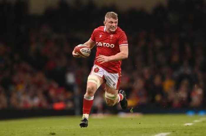 Wales duo's seasons wiped out by injury in hammer blow for region and players
