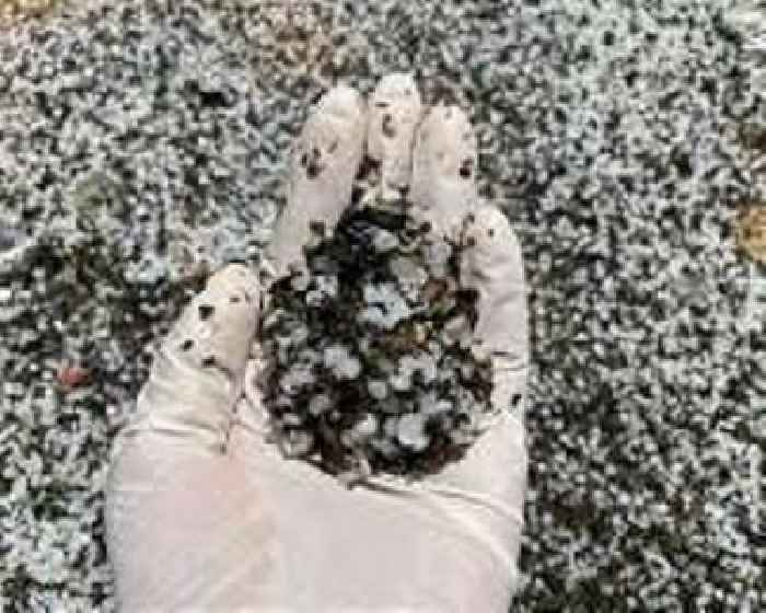 Scientists make 'disturbing' find on remote island: plastic rocks