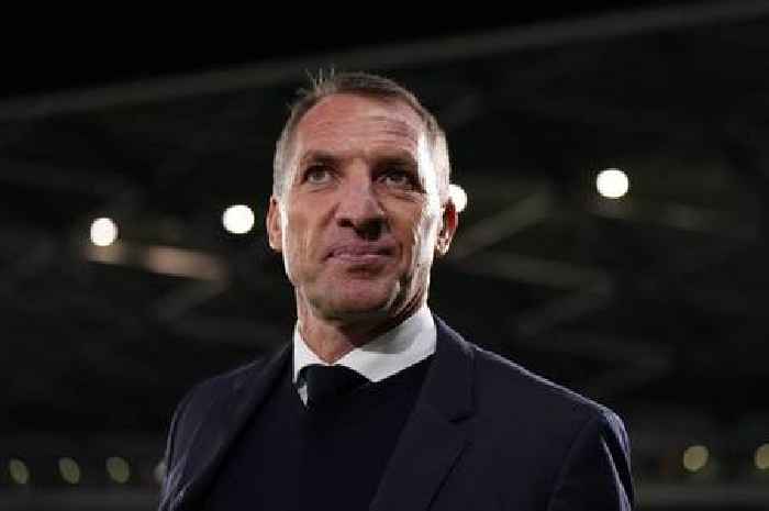 Brendan Rodgers finds new role for Leicester City player Harry Redknapp loves