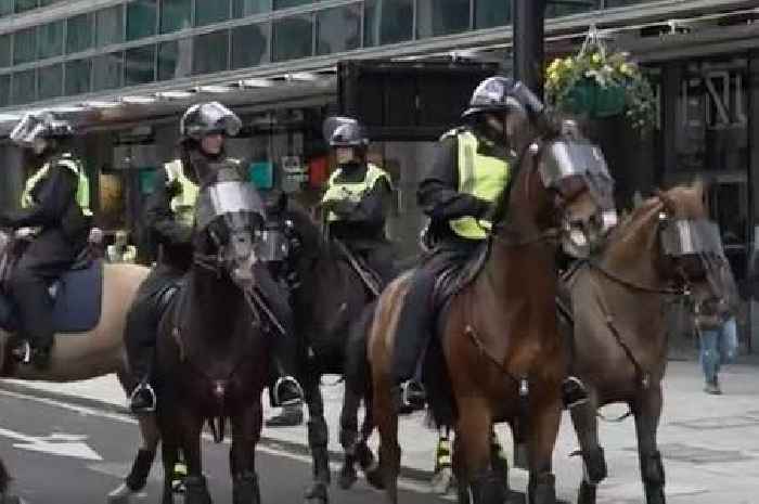 BBC's Critical Incident: Police horses in Bristol 'hit with missiles'