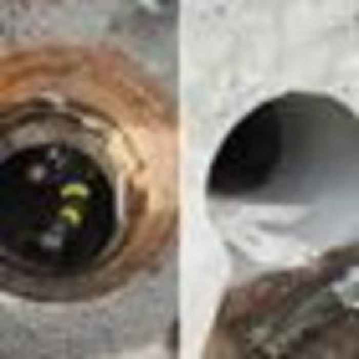 Young boys rescued from sewer after crawling into tunnel were told to 'scream as loud as they could'