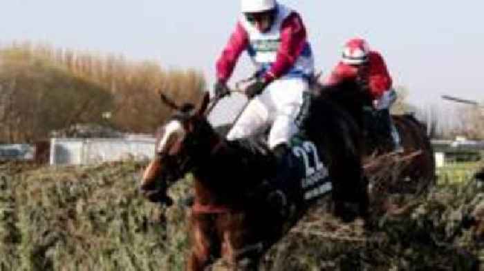 Grand National winner One For Arthur dies