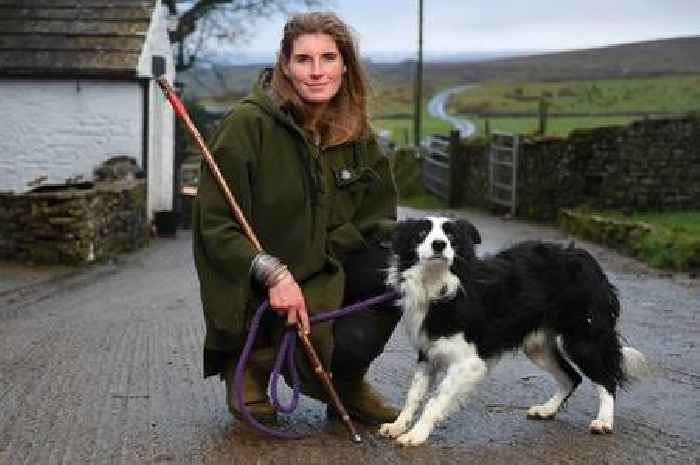 Our Yorkshire Farm's Amanda Owen makes cheeky joke after delighting fans with Clive reunion