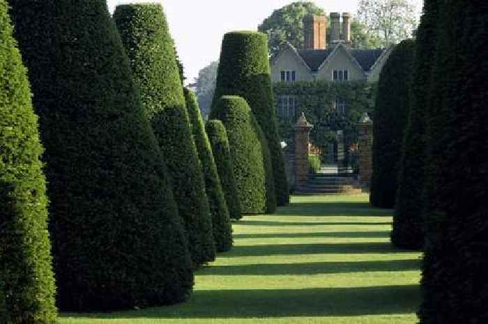 National Trust hunt for head gardener to clip famous Yew trees at much-loved beauty spot