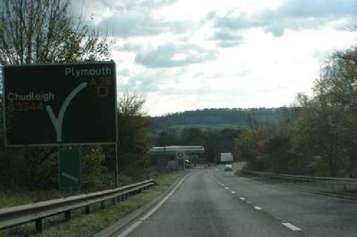 A38 crash: Young boy among two freed from car that plunged off road into field