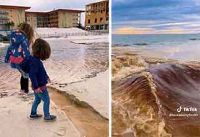 Dad Lets Kids Dig Canal At Beach, Accidentally Destroys Gulf Coast Ecosystem