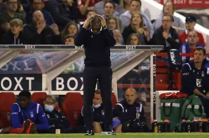 Chris Hughton sums up Steve Cooper in one word as he opens up on Nottingham Forest troubles