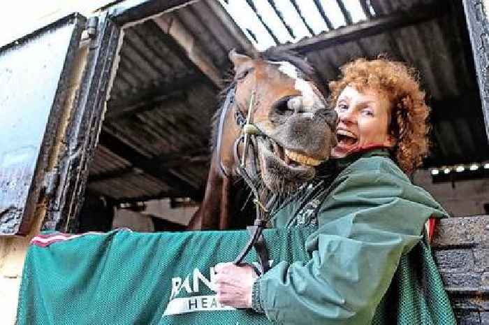 Tributes after Kinross-based Grand National-winning horse One For Arthur dies aged 14