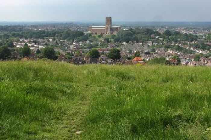 Decision on Guildford Cathedral's bid for 124 homes on undeveloped woodland