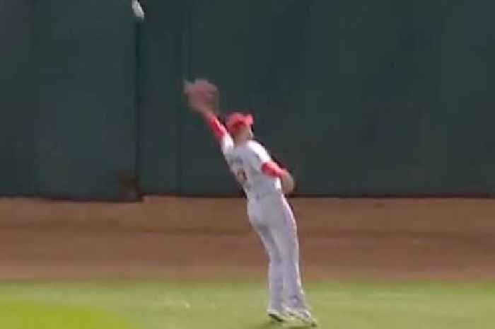 MLB star produces 'unbelievable' no-look catch that is 'greatest thing in history'