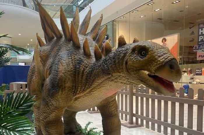 Realistic robot dinosaurs descend on Derby's Derbion shopping centre