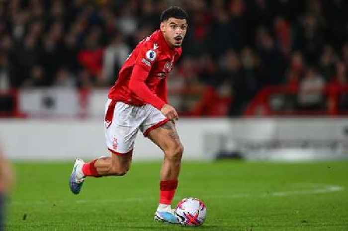 Morgan Gibbs-White challenge laid down in 'really important period' for Nottingham Forest ace