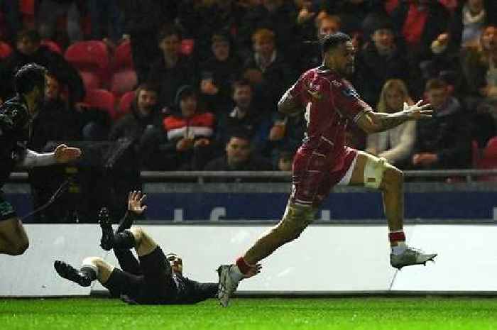 Scarlets 19-7 Brive: Vaea Fifita shines as Dwayne Peel's side set up Clermont quarter-final clash