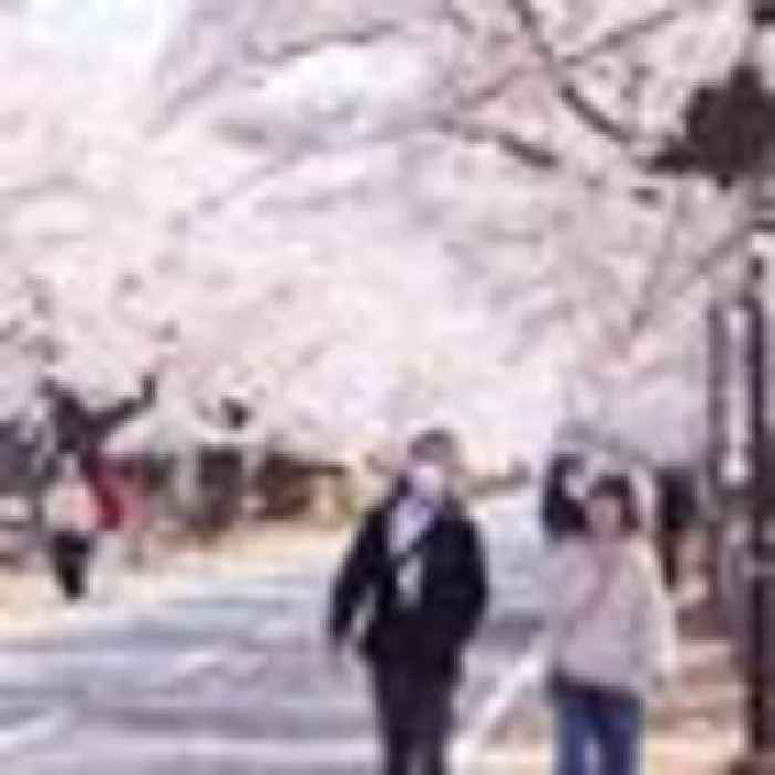 Japan lifts evacuation order in town 12 years after nuclear disaster