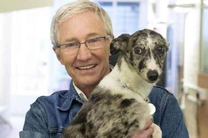 Paul O'Grady 'fell in love' on final ITV series as show gets set to air