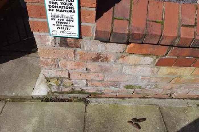 Fed-up Grimsby woman installs comical sign outside her house in bid to stop dog fouling