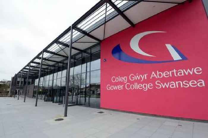 Gower College Swansea tutor accused of 'threatening to kill' colleague and damaging property in 'love triangle' row
