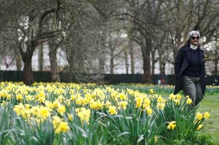 Easter Sunday weather could bring warmest day of 2023 so far