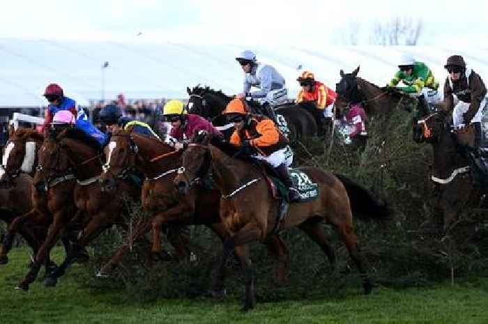 Fears for 2023 Grand National with 'worryingly low' number of horses left