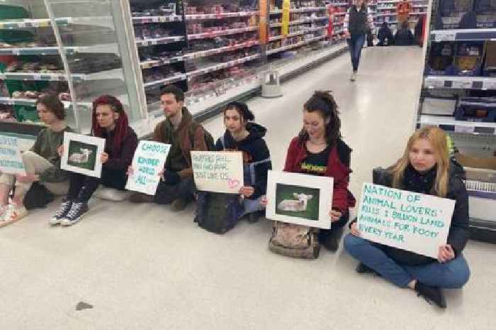 'Last ever' Animal Rebellion action sees supermarket aisles blocked in Bristol