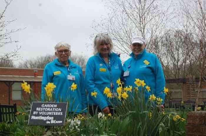 Local legends: Huntingdon in Bloom volunteers make hospital grounds come to life