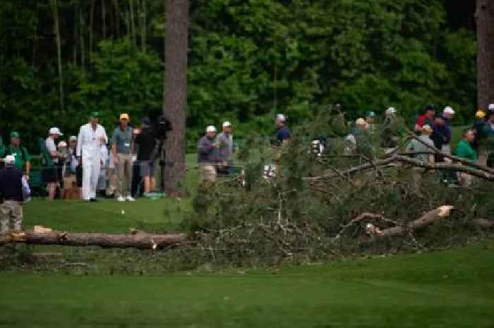 Lucky escape for golf fans as three trees brought crashing down at Masters