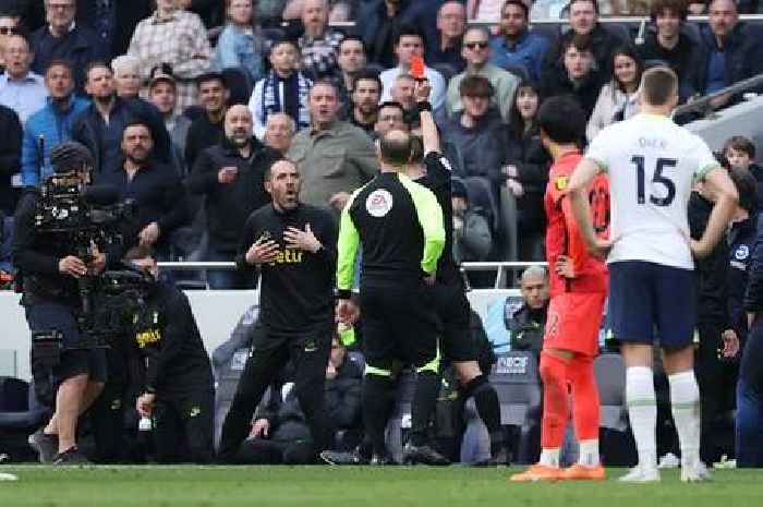 Tottenham press conference LIVE: Cristian Stellini on Roberto De Zerbi, red card chaos and Son