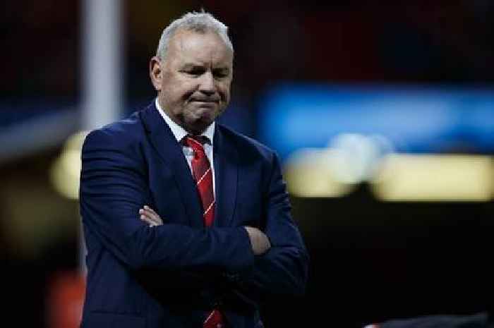 Wayne Pivac 'turns down' English Premiership job as he looks for first role after Wales departure