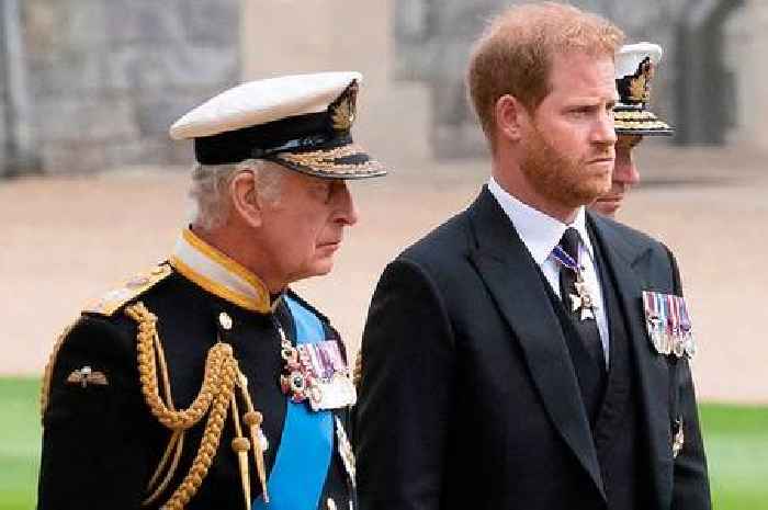 Prince Harry 'swore at King Charles' in argument over money, new book claims