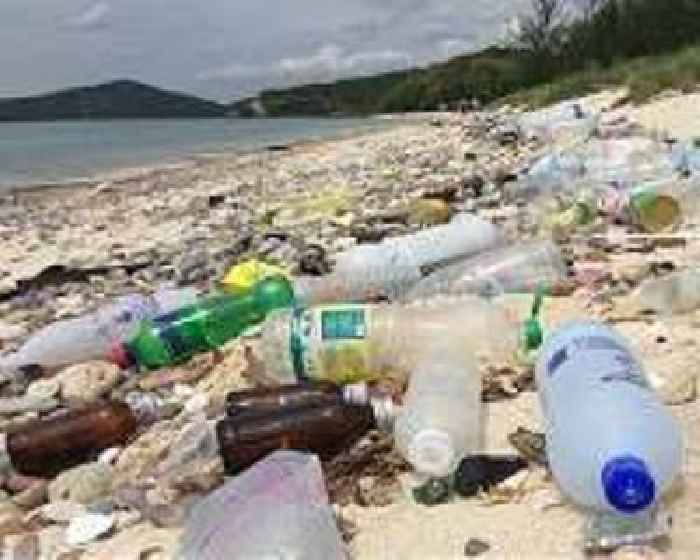 Plastic pollution is scourge of English coastal region