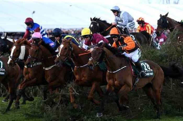 Grand National 2023 sweepstake kit: Printable download of 40 runners for Aintree race