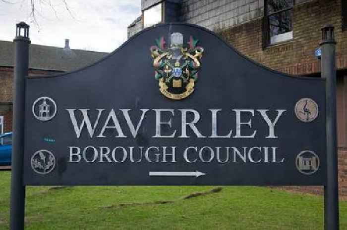 The Waverley Borough Council candidates looking for your vote in May's local elections