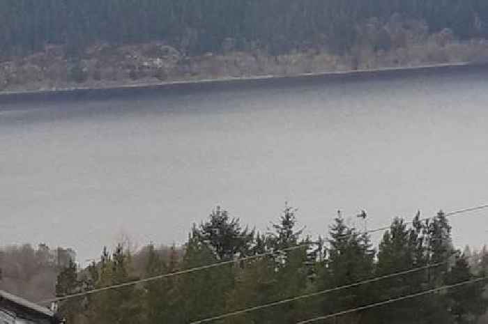 Nessie ‘sighting’ as tourist snaps mysterious shape with ‘huge neck’ on Loch Ness