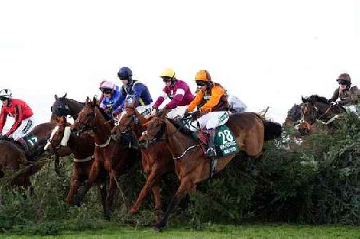 Full list of horses running in the 2023 Grand National and how to watch live coverage
